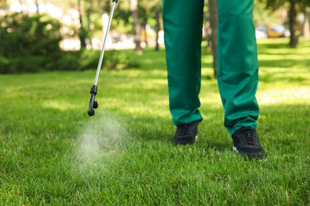 Best Mosquito Control Services  in Oregon, WI