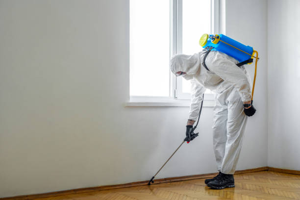 Best Wasp Removal Services  in Oregon, WI