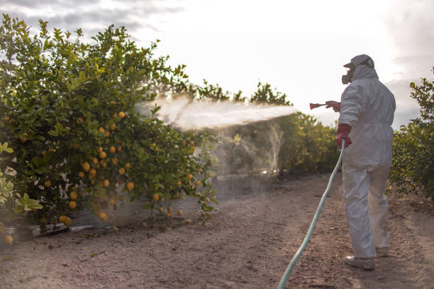Best Emergency Pest Control  in Oregon, WI