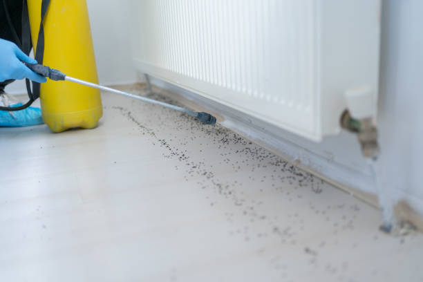 Best Exterminator Services  in Oregon, WI